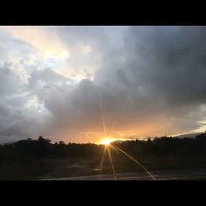 Meet your Posher, Nora